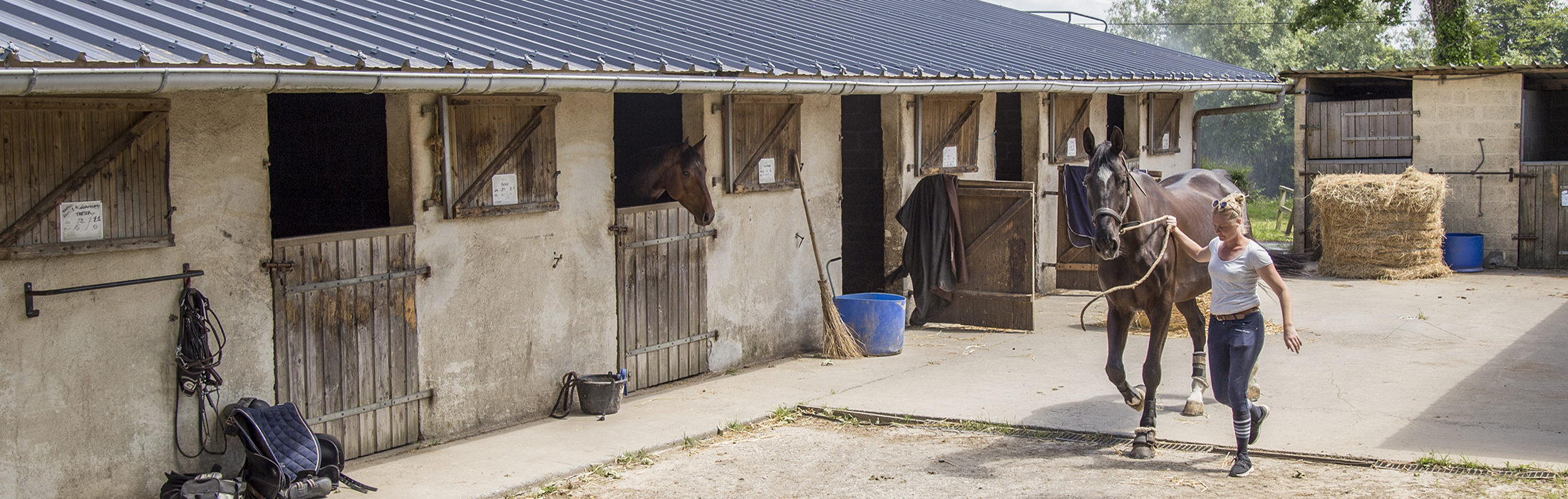 Renarderie Equitation à Mesnil-Clinchamps